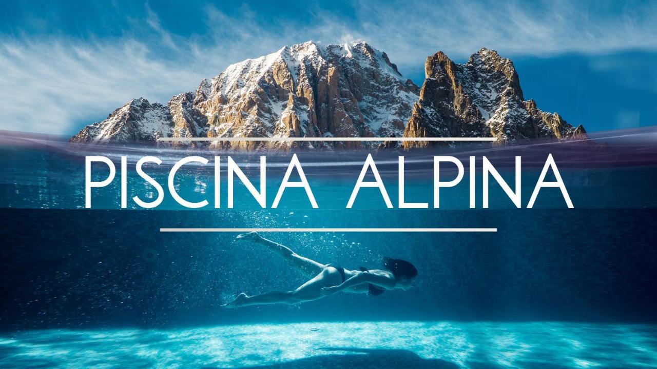 La Maison Des Guides - Trilocale A 500 Mt Dalle Piste Di Dolonne Courmayeur Esterno foto